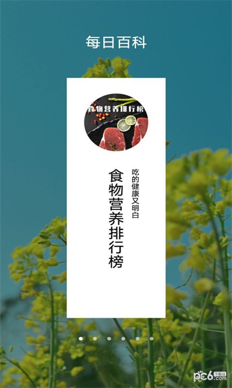 每日博物馆
