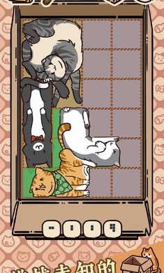 盒子猫（Box Cats）