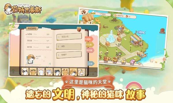 猫猫狗狗一起玩
