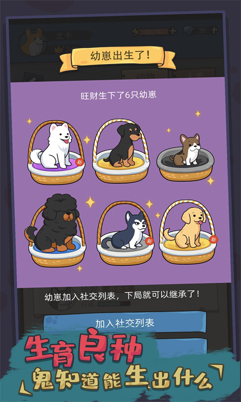 你好狗好喜欢最新版