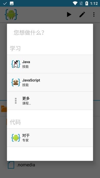 aide中文版