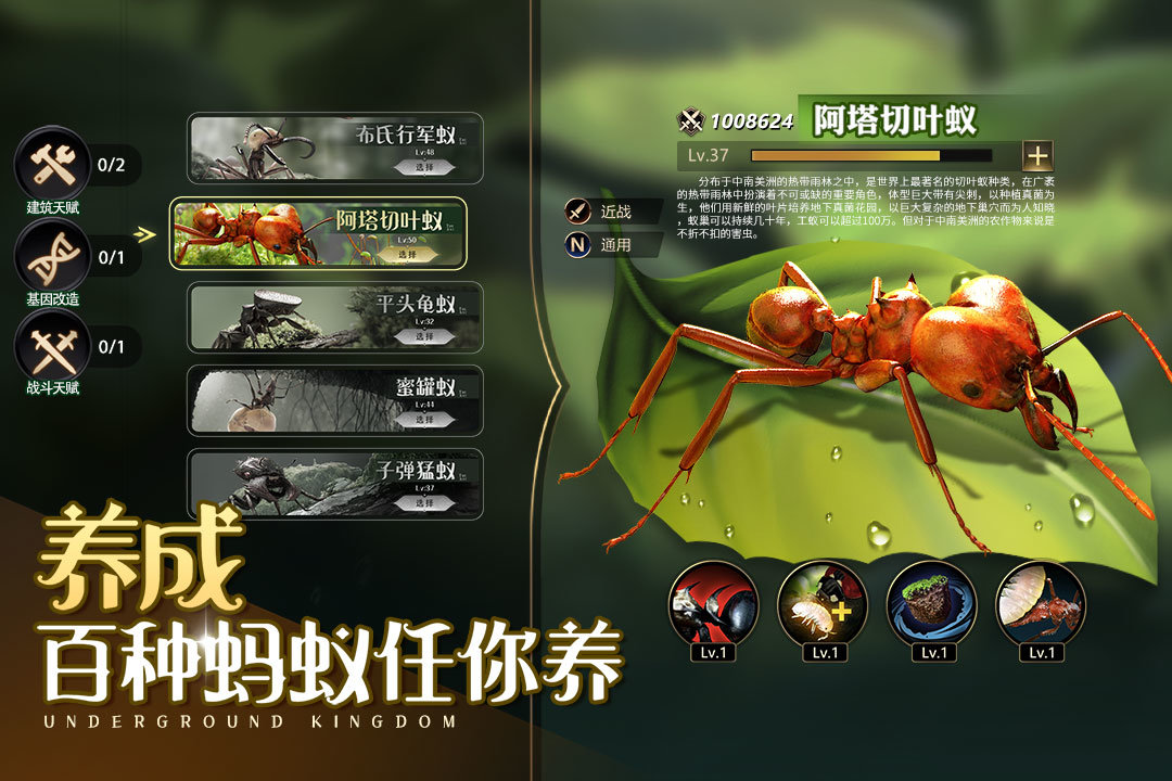 小小蚁国2022最新版