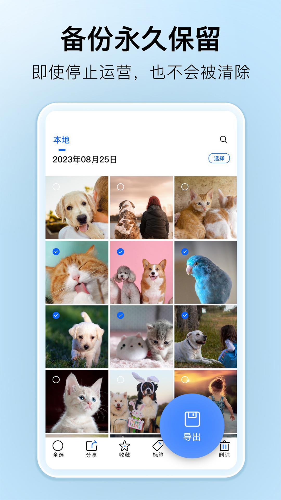深林集影相册