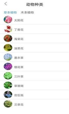 植物品鉴