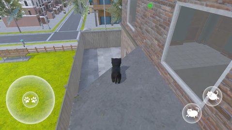 猫的冒险