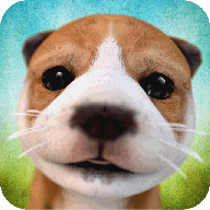 狗狗模拟器（Dog Simulator）