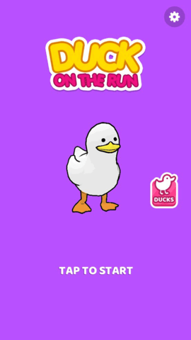 鸭子快跑(Duck on the Run)